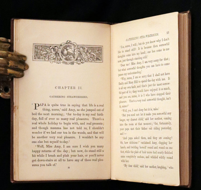 1884 Scarce Book - Amy's Wish and What Came of It, A Fairy Tale illustrated by G. Wigand.