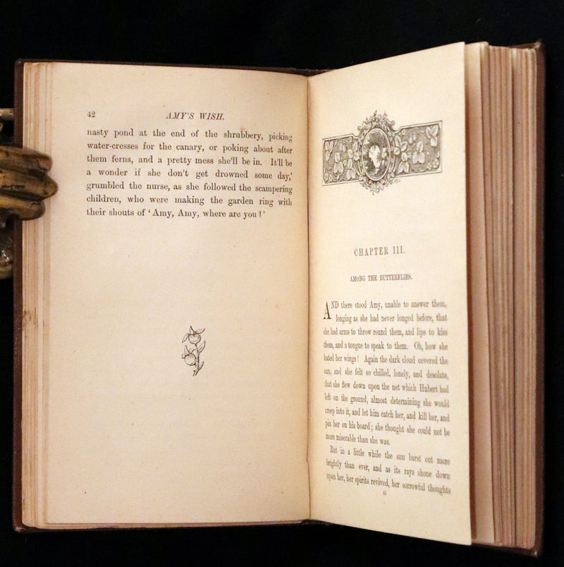 1884 Scarce Book - Amy's Wish and What Came of It, A Fairy Tale illustrated by G. Wigand.