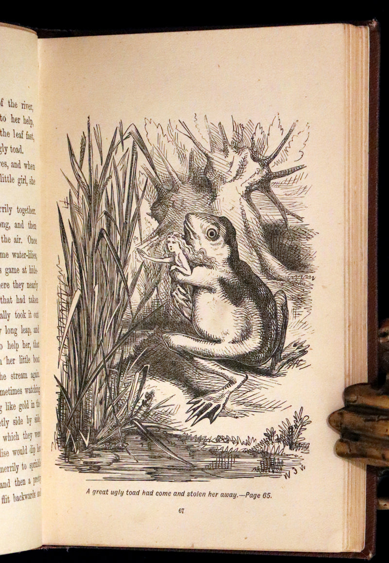 1884 Scarce Book - Amy's Wish and What Came of It, A Fairy Tale illustrated by G. Wigand.