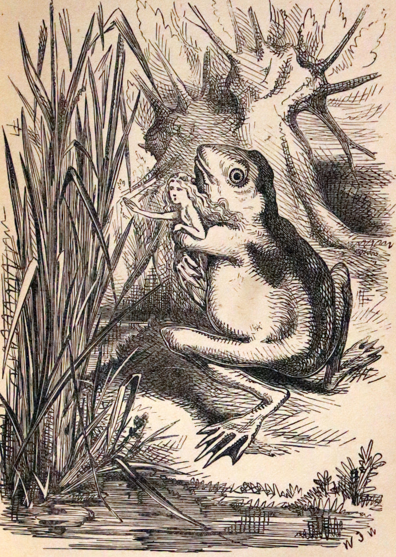 1884 Scarce Book - Amy's Wish and What Came of It, A Fairy Tale illustrated by G. Wigand.