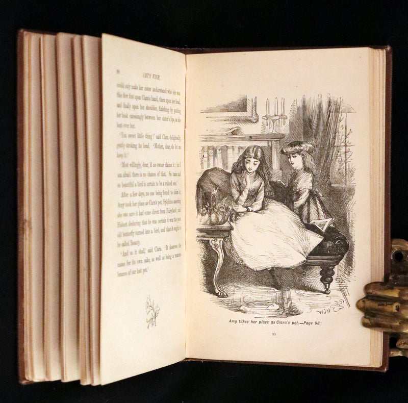 1884 Scarce Book - Amy's Wish and What Came of It, A Fairy Tale illustrated by G. Wigand.