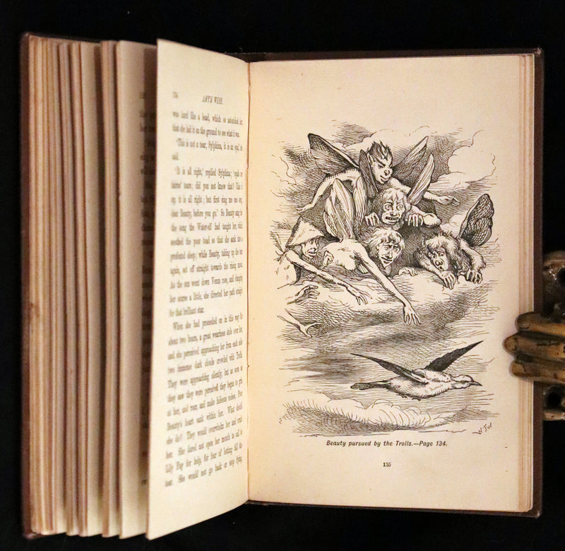 1884 Scarce Book - Amy's Wish and What Came of It, A Fairy Tale illustrated by G. Wigand.