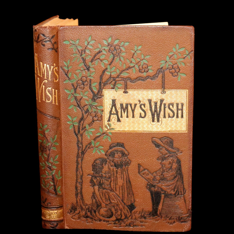 1884 Scarce Book - Amy's Wish and What Came of It, A Fairy Tale illustrated by G. Wigand.