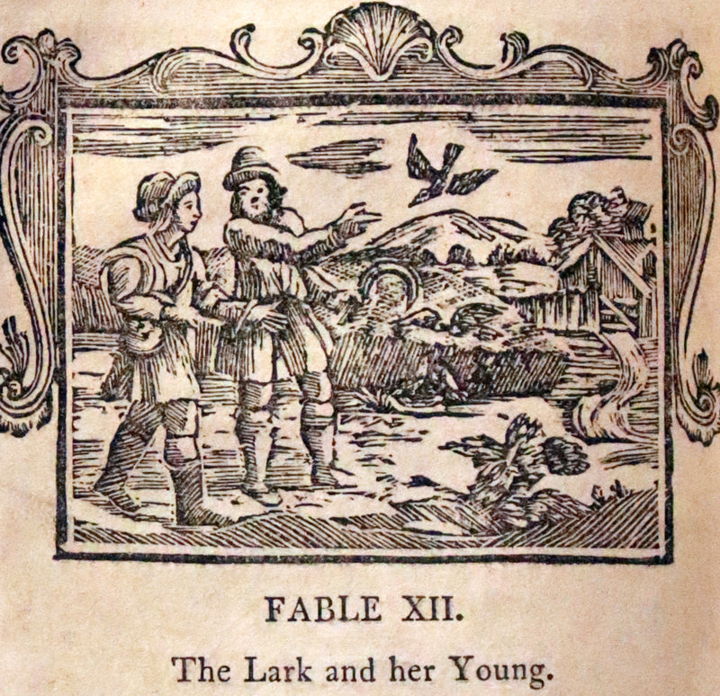 1788 Rare book in a beautiful binding - Fables of Aesop and Other Fabulists. Illustrated.