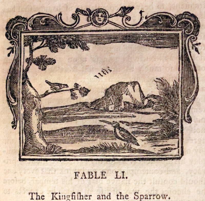 1788 Rare book in a beautiful binding - Fables of Aesop and Other Fabulists. Illustrated.