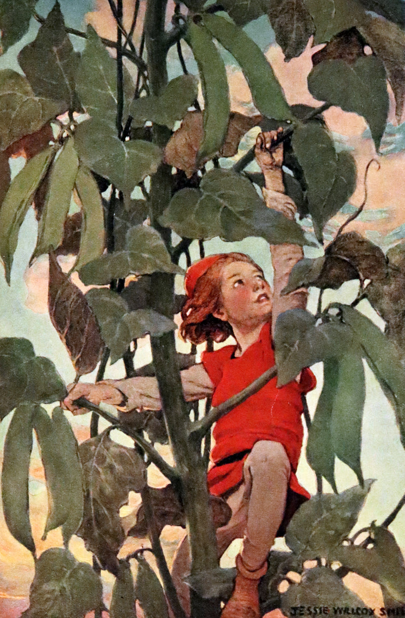 1913 Rare First UK Edition - A Child's Book of Stories illustrated by Jessie Willcox Smith.