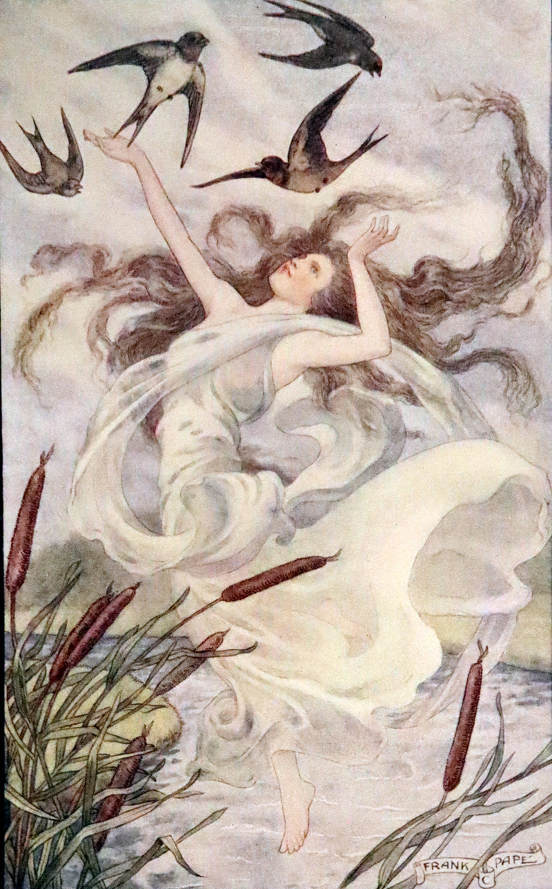 1911 Rare Edition - AT THE BACK OF THE NORTH WIND by George MacDonald.