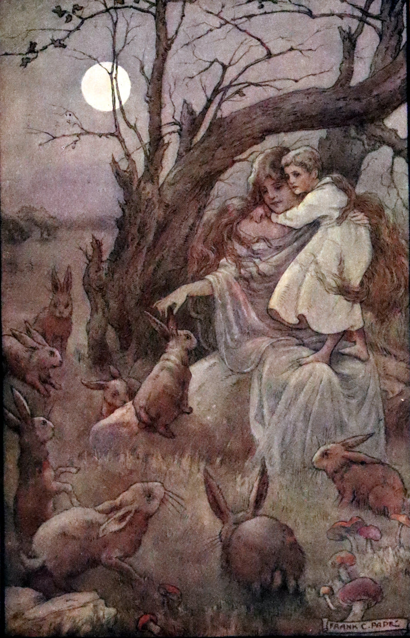 1911 Rare Edition - AT THE BACK OF THE NORTH WIND by George MacDonald.