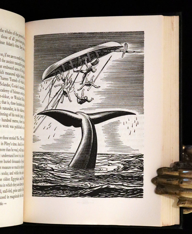 1930 Rare First Edition - MOBY DICK or The Whale by Melville, illustrated by Rockwell Kent.