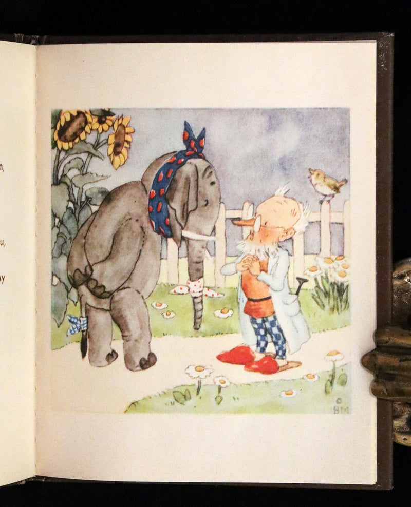 1943 Scarce First US Edition - The PET'S DOCTOR illustrated by Ida Bohatta Morpurgo.