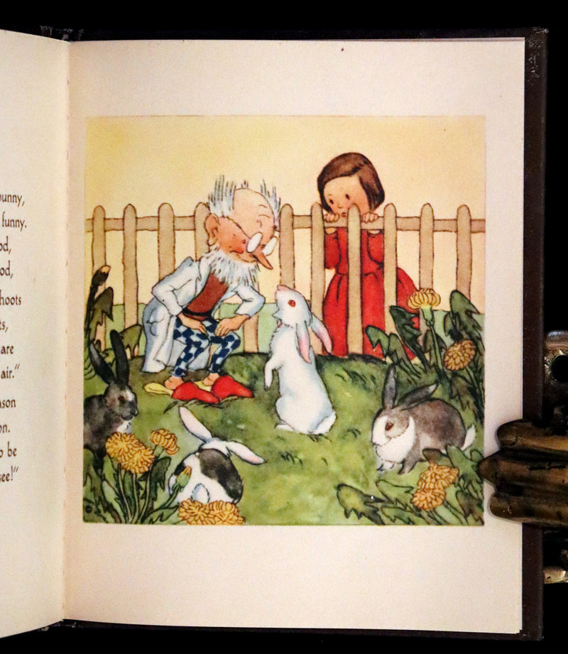 1943 Scarce First US Edition - The PET'S DOCTOR illustrated by Ida Bohatta Morpurgo.