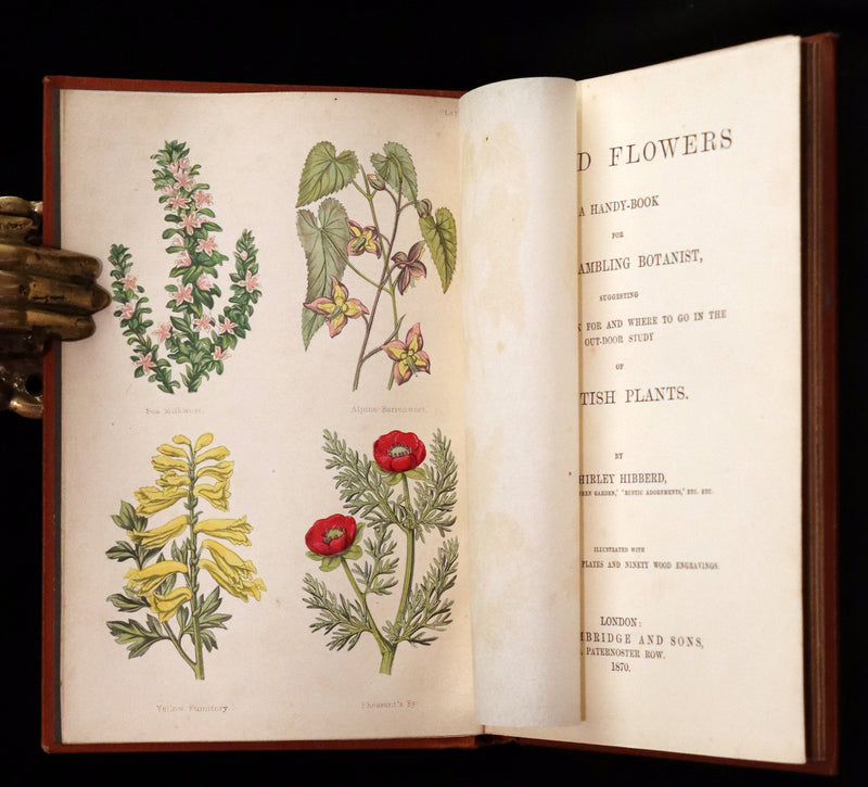 1870 Scarce First Edition - FIELD FLOWERS, A handy-book for the rambling by the famous botanist James Shirley Hibberd.