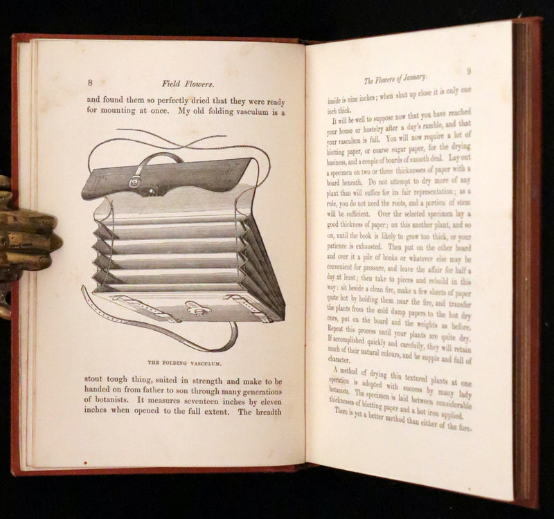 1870 Scarce First Edition - FIELD FLOWERS, A handy-book for the rambling by the famous botanist James Shirley Hibberd.