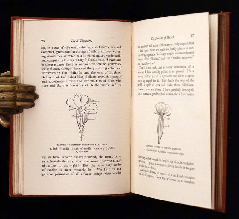 1870 Scarce First Edition - FIELD FLOWERS, A handy-book for the rambling by the famous botanist James Shirley Hibberd.