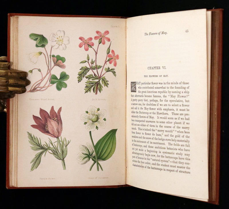 1870 Scarce First Edition - FIELD FLOWERS, A handy-book for the rambling by the famous botanist James Shirley Hibberd.