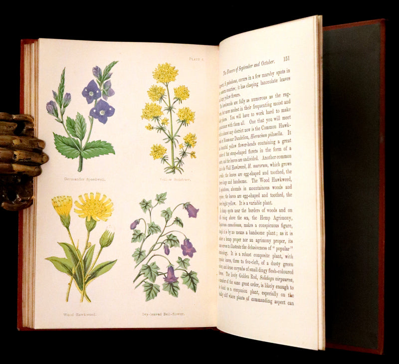 1870 Scarce First Edition - FIELD FLOWERS, A handy-book for the rambling by the famous botanist James Shirley Hibberd.