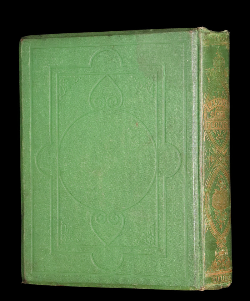 1869 Scarce Floriography 1stED - The Language of Flowers or Floral Emblems by Robert Tyas. Color Illustrated.