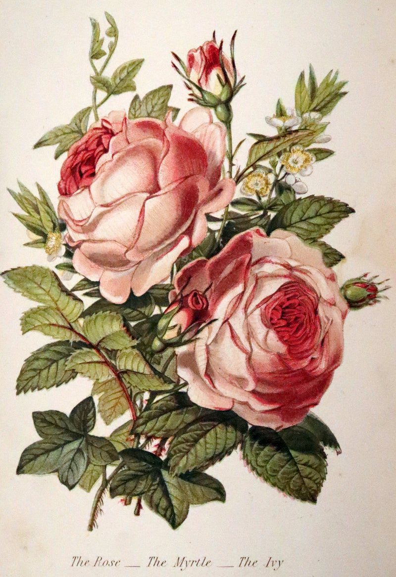 1869 Scarce Floriography 1stED - The Language of Flowers or Floral Emblems by Robert Tyas. Color Illustrated.