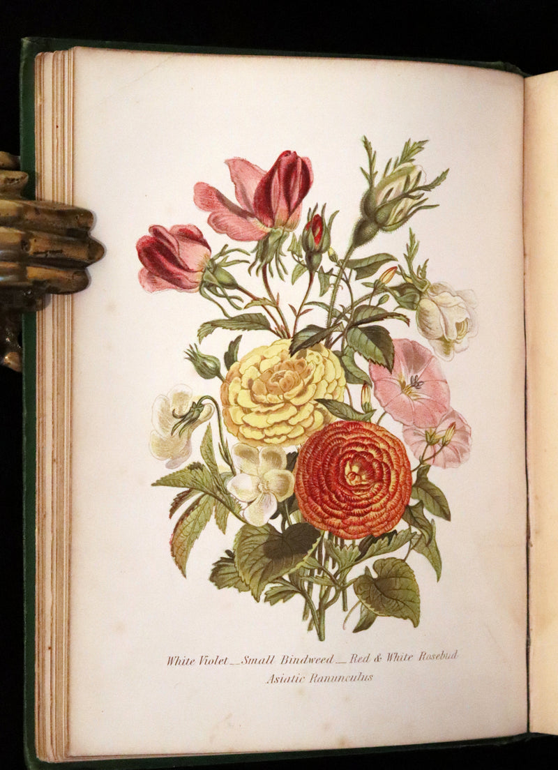 1869 Scarce Floriography 1stED - The Language of Flowers or Floral Emblems by Robert Tyas. Color Illustrated.