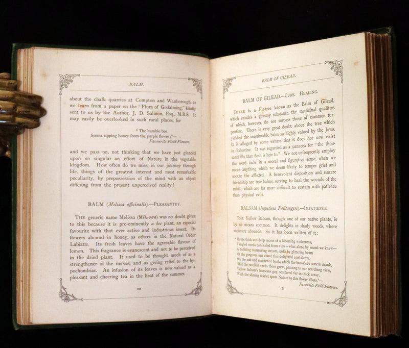 1869 Scarce Floriography 1stED - The Language of Flowers or Floral Emblems by Robert Tyas. Color Illustrated.