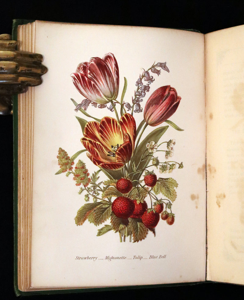 1869 Scarce Floriography 1stED - The Language of Flowers or Floral Emblems by Robert Tyas. Color Illustrated.