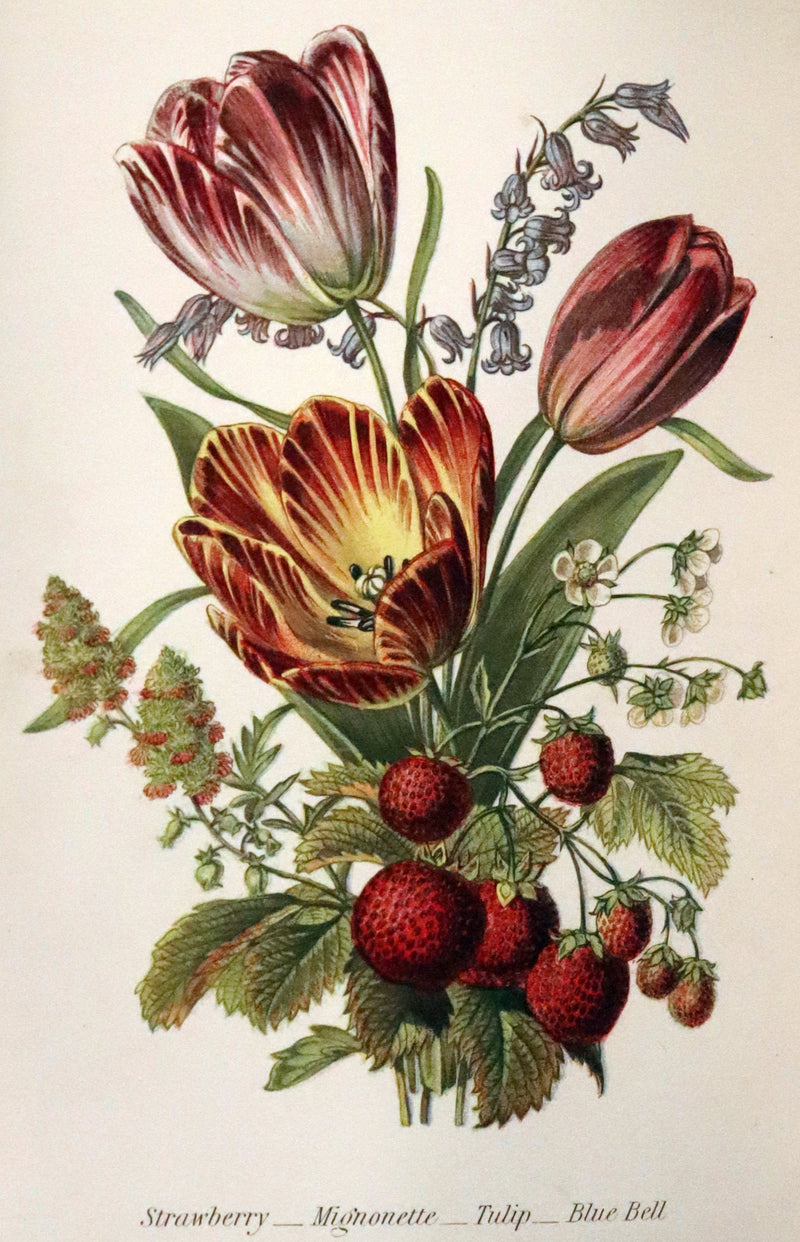1869 Scarce Floriography 1stED - The Language of Flowers or Floral Emblems by Robert Tyas. Color Illustrated.