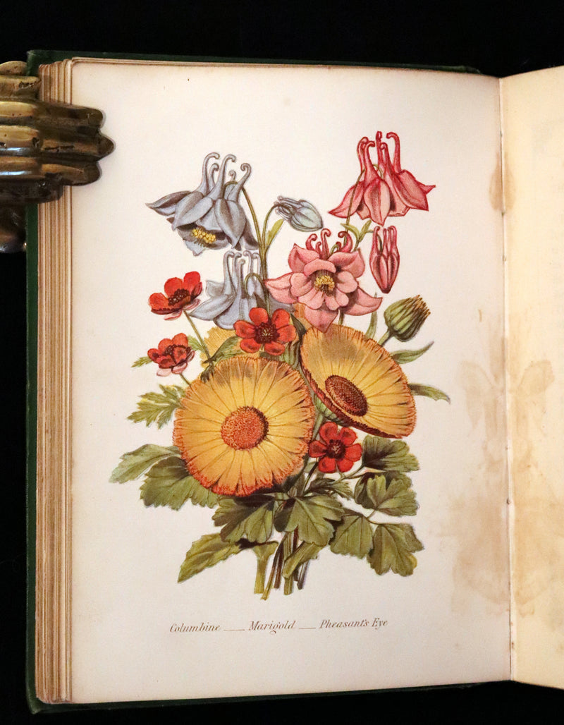 1869 Scarce Floriography 1stED - The Language of Flowers or Floral Emblems by Robert Tyas. Color Illustrated.