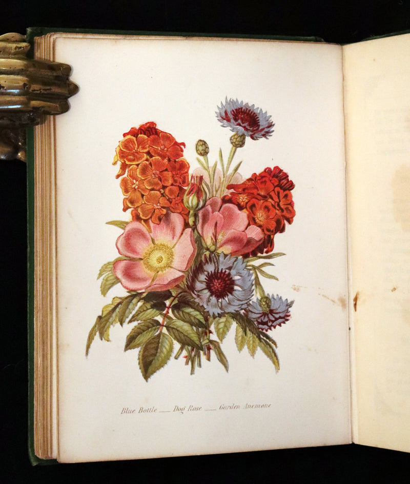1869 Scarce Floriography 1stED - The Language of Flowers or Floral Emblems by Robert Tyas. Color Illustrated.