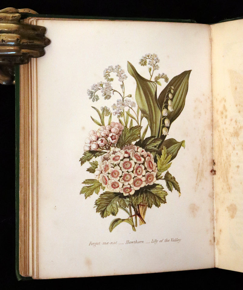 1869 Scarce Floriography 1stED - The Language of Flowers or Floral Emblems by Robert Tyas. Color Illustrated.