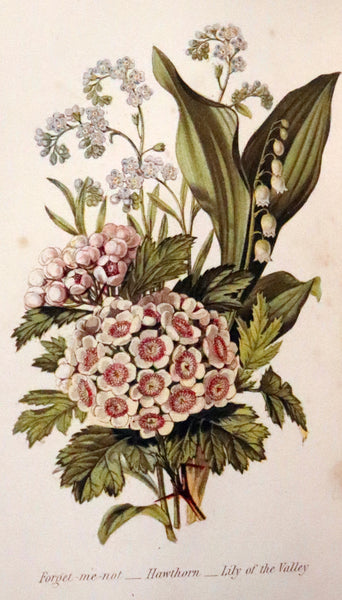 1869 Scarce Floriography 1stED - The Language of Flowers or Floral Emblems by Robert Tyas. Color Illustrated.