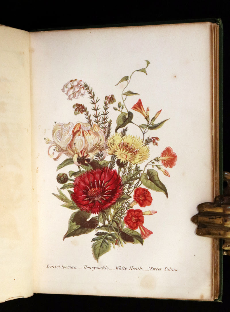 1869 Scarce Floriography 1stED - The Language of Flowers or Floral Emblems by Robert Tyas. Color Illustrated.