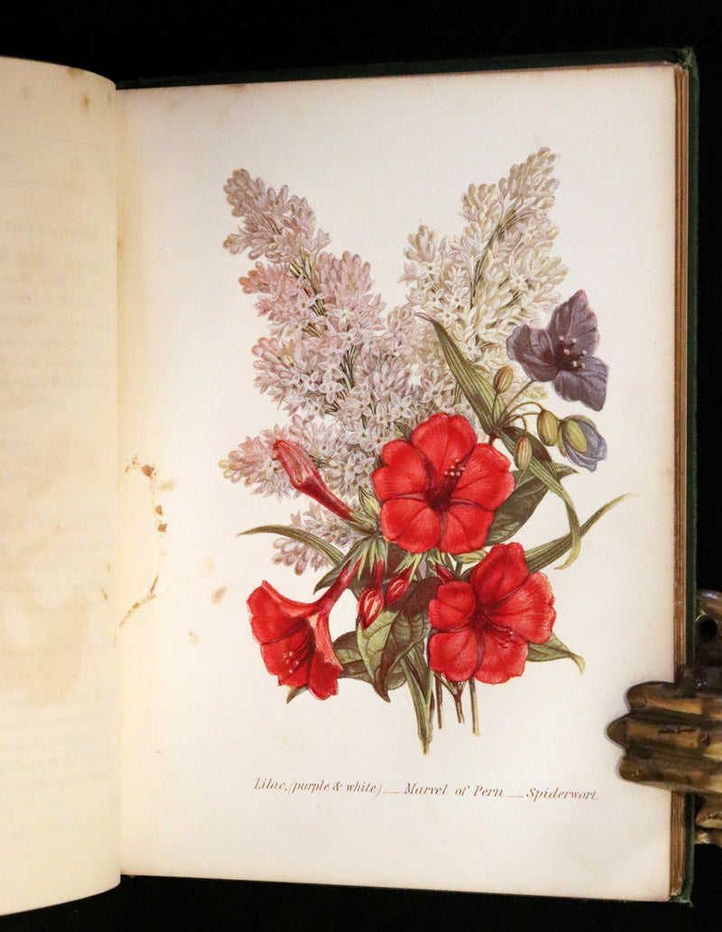1869 Scarce Floriography 1stED - The Language of Flowers or Floral Emblems by Robert Tyas. Color Illustrated.
