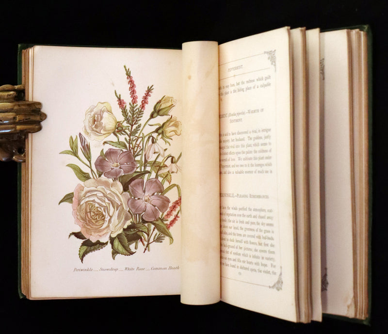 1869 Scarce Floriography 1stED - The Language of Flowers or Floral Emblems by Robert Tyas. Color Illustrated.