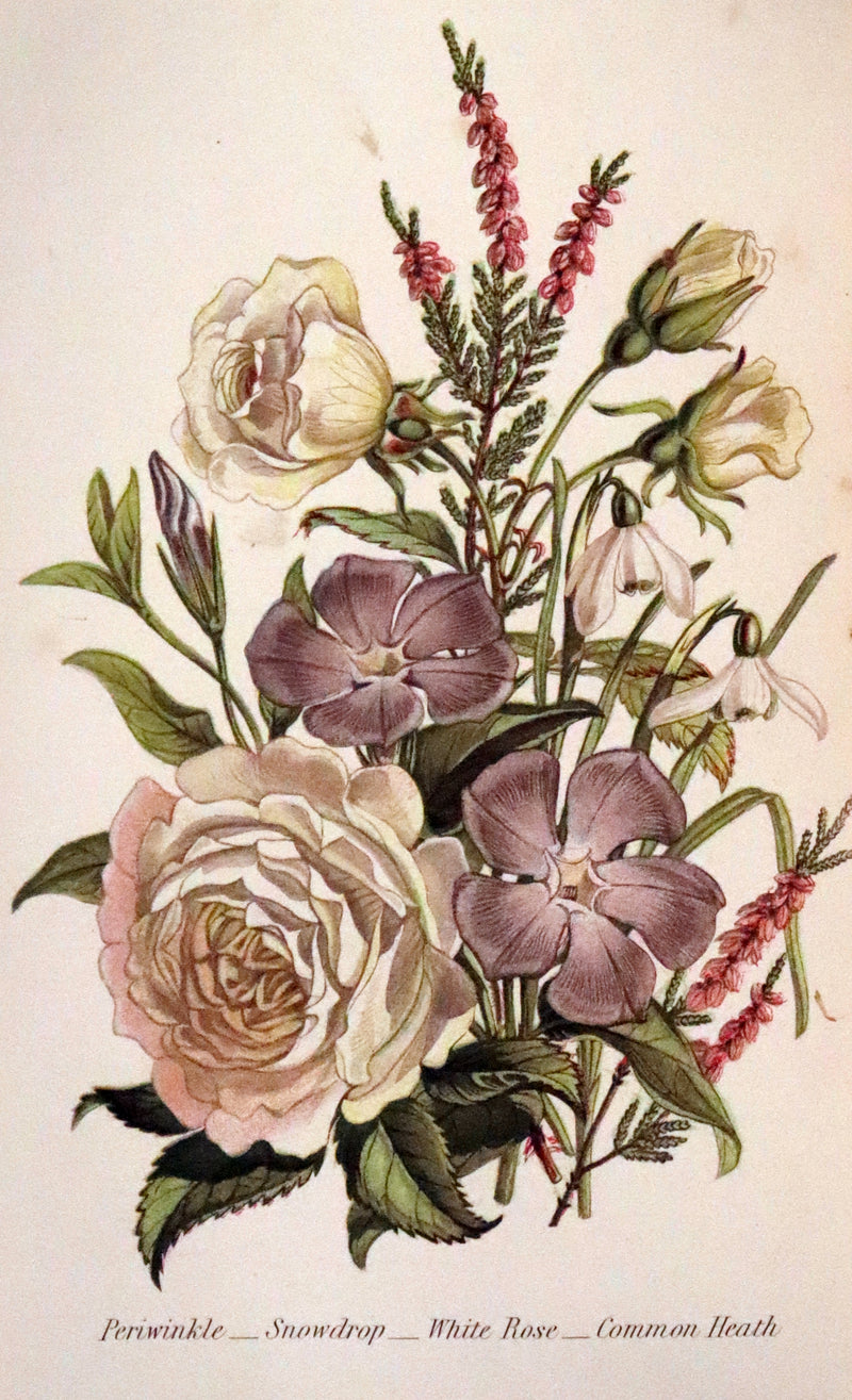 1869 Scarce Floriography 1stED - The Language of Flowers or Floral Emblems by Robert Tyas. Color Illustrated.