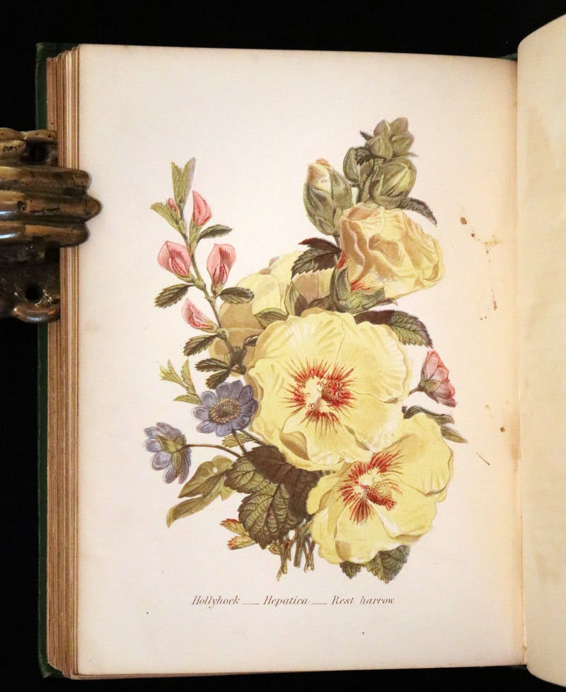 1869 Scarce Floriography 1stED - The Language of Flowers or Floral Emblems by Robert Tyas. Color Illustrated.