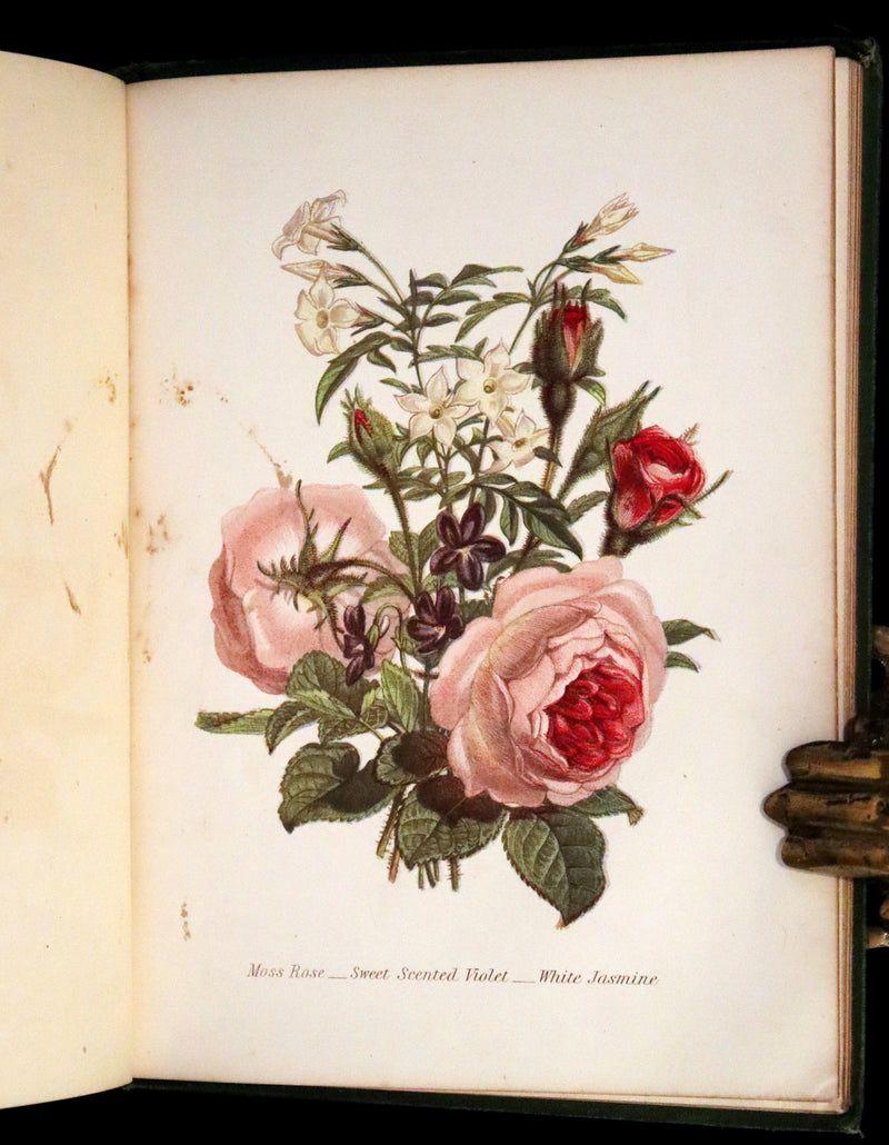 1869 Scarce Floriography 1stED - The Language of Flowers or Floral Emblems by Robert Tyas. Color Illustrated.
