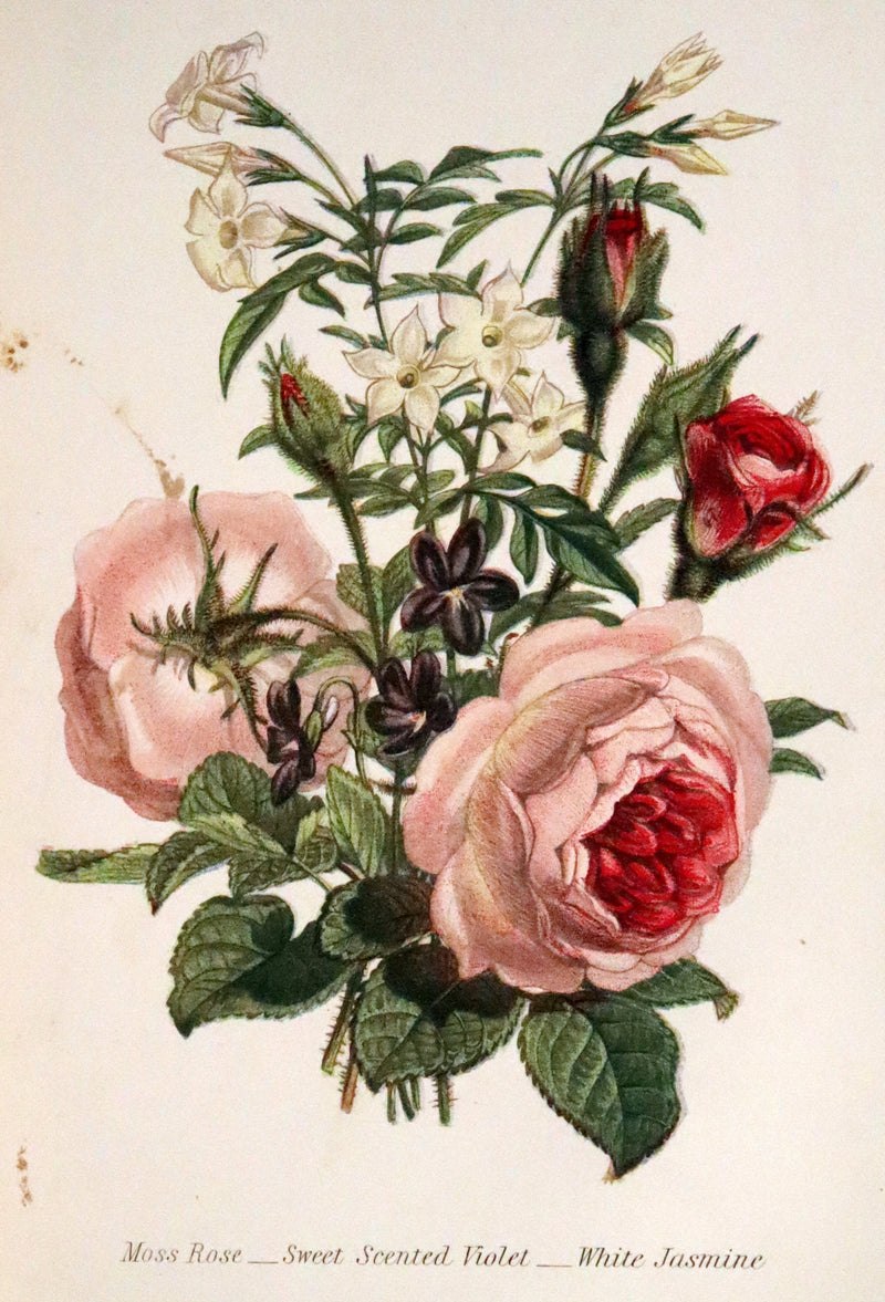 1869 Scarce Floriography 1stED - The Language of Flowers or Floral Emblems by Robert Tyas. Color Illustrated.