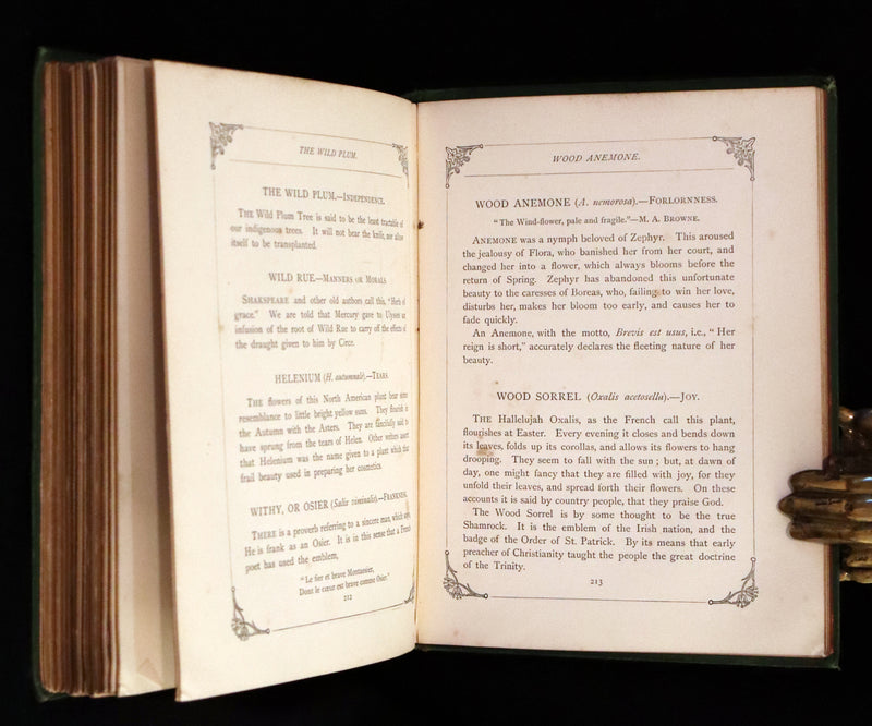 1869 Scarce Floriography 1stED - The Language of Flowers or Floral Emblems by Robert Tyas. Color Illustrated.