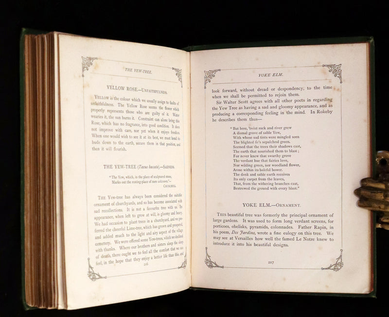 1869 Scarce Floriography 1stED - The Language of Flowers or Floral Emblems by Robert Tyas. Color Illustrated.