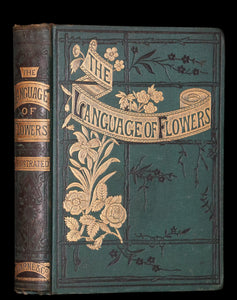 1880 Scarce Floriography Book ~ The Language of Flowers Including Floral Poetry Illustrated.