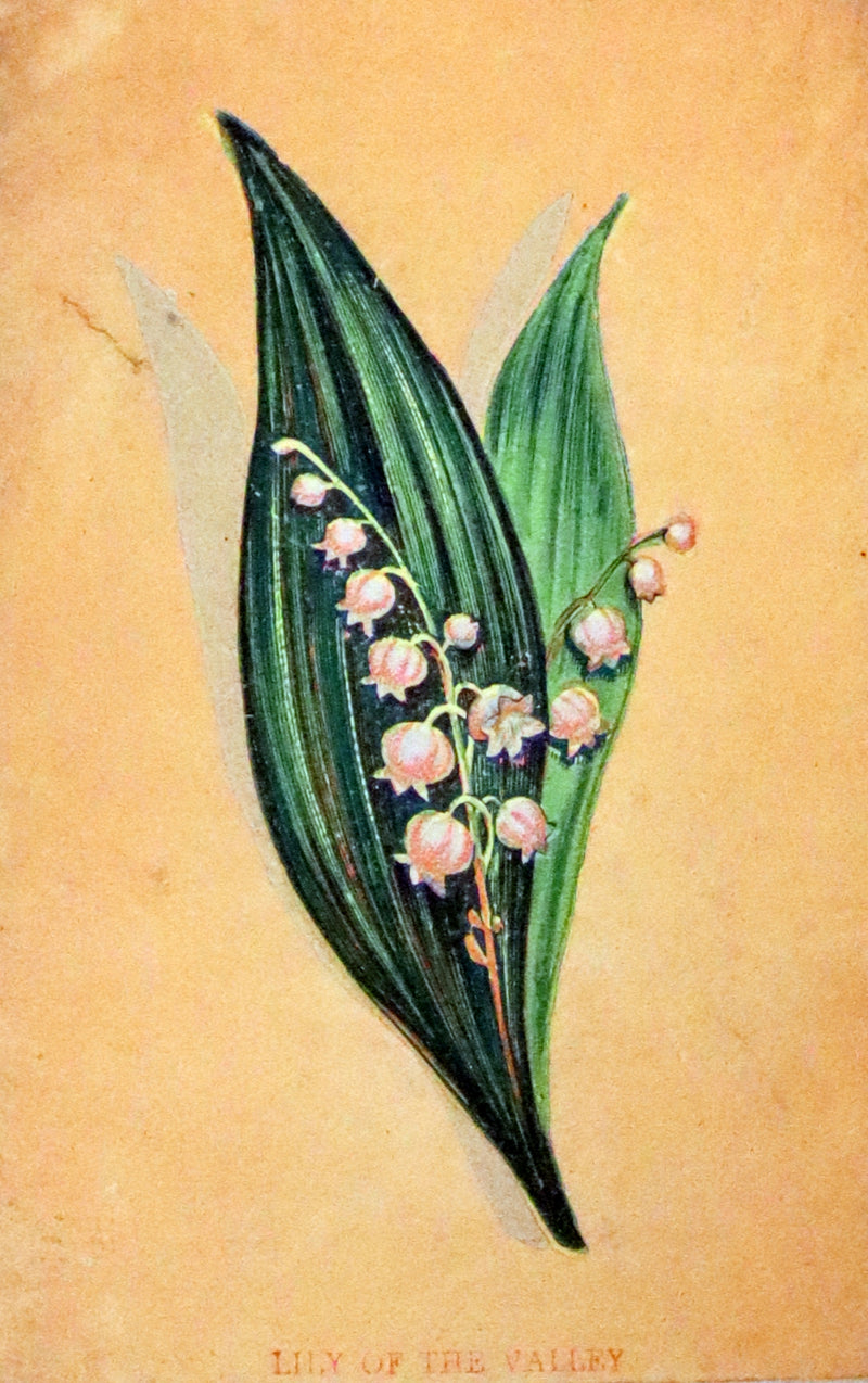 1880 Scarce Floriography Book ~ The Language of Flowers Including Floral Poetry Illustrated.