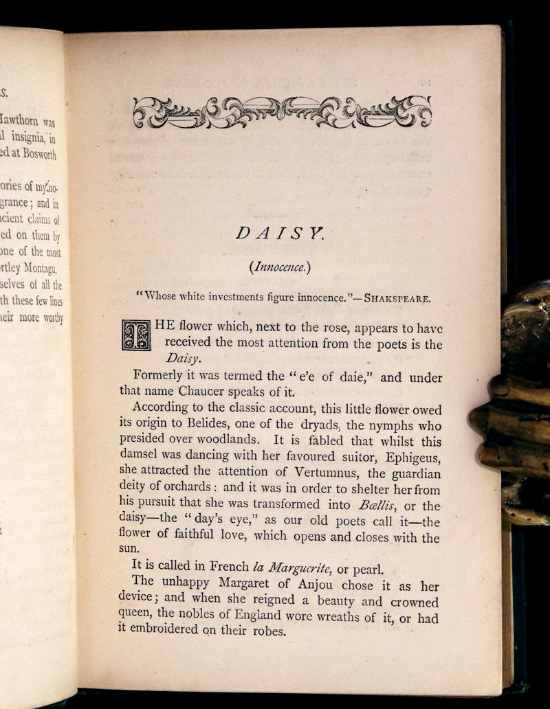 1880 Scarce Floriography Book ~ The Language of Flowers Including Floral Poetry Illustrated.