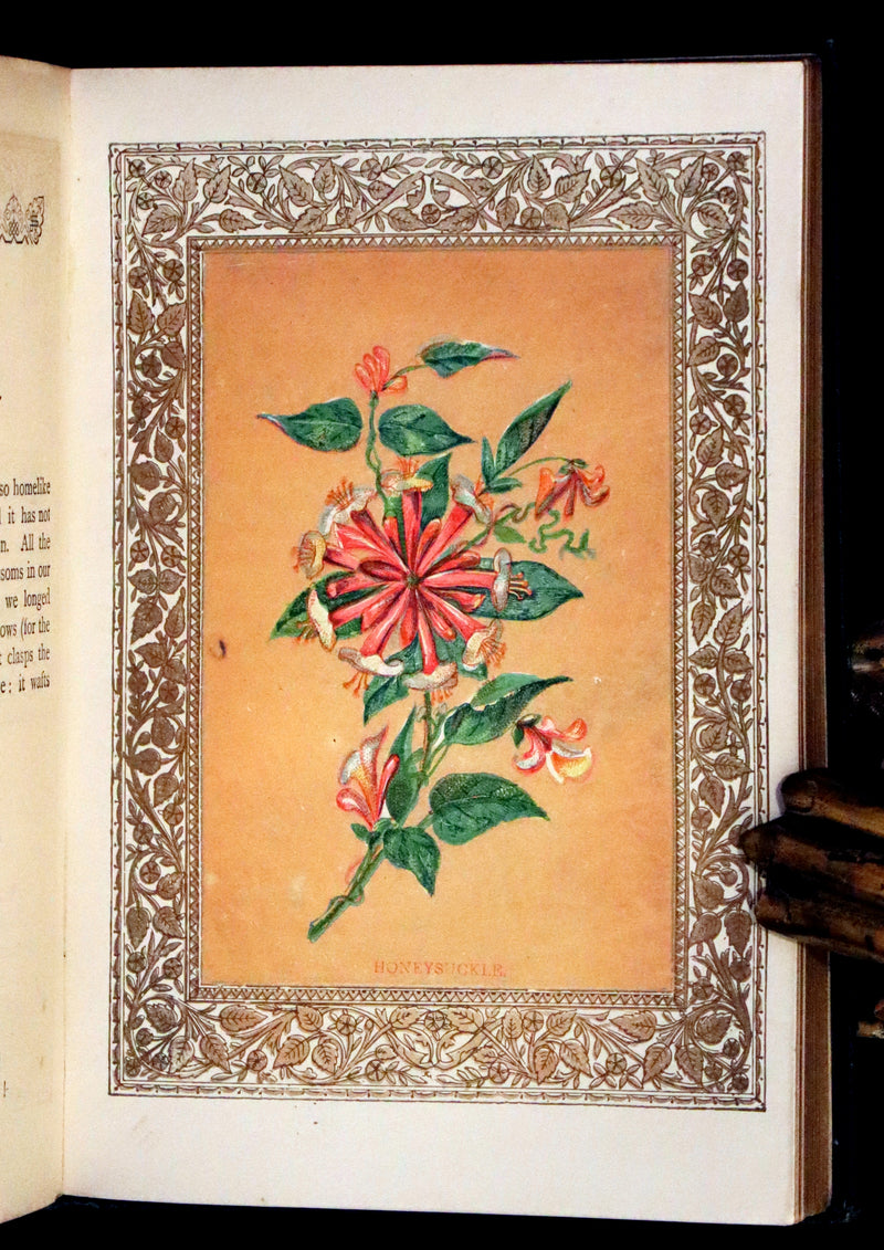 1880 Scarce Floriography Book ~ The Language of Flowers Including Floral Poetry Illustrated.