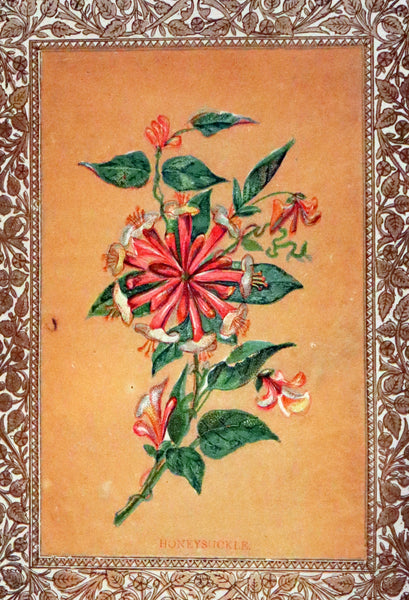 1880 Scarce Floriography Book ~ The Language of Flowers Including Floral Poetry Illustrated.