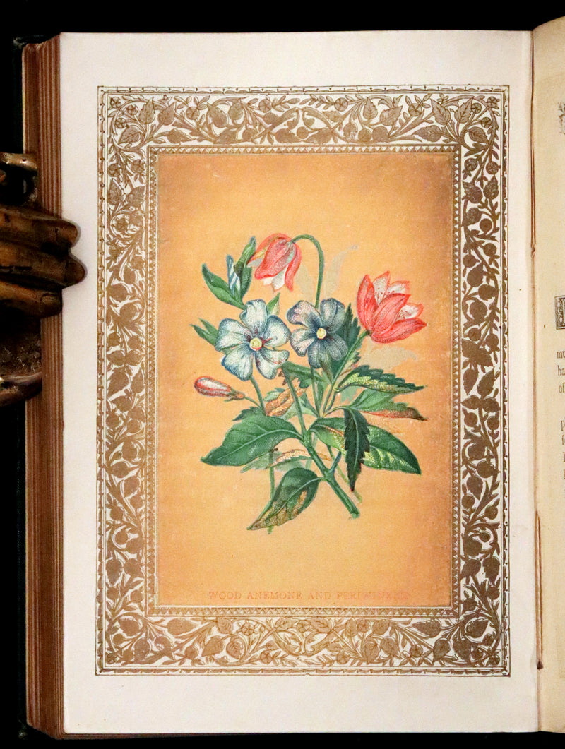 1880 Scarce Floriography Book ~ The Language of Flowers Including Floral Poetry Illustrated.
