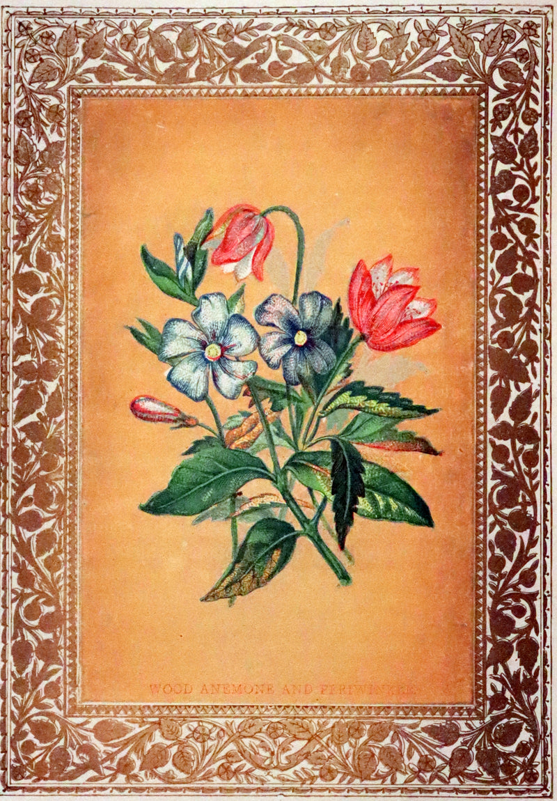 1880 Scarce Floriography Book ~ The Language of Flowers Including Floral Poetry Illustrated.