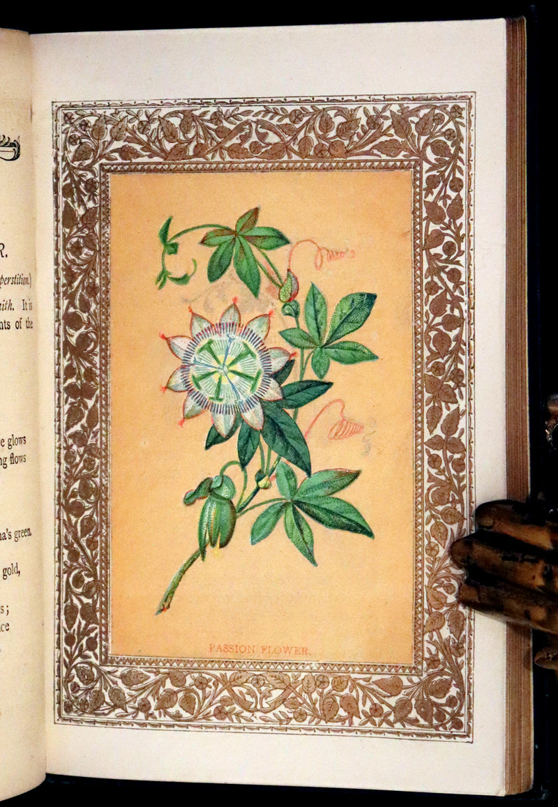 1880 Scarce Floriography Book ~ The Language of Flowers Including Floral Poetry Illustrated.