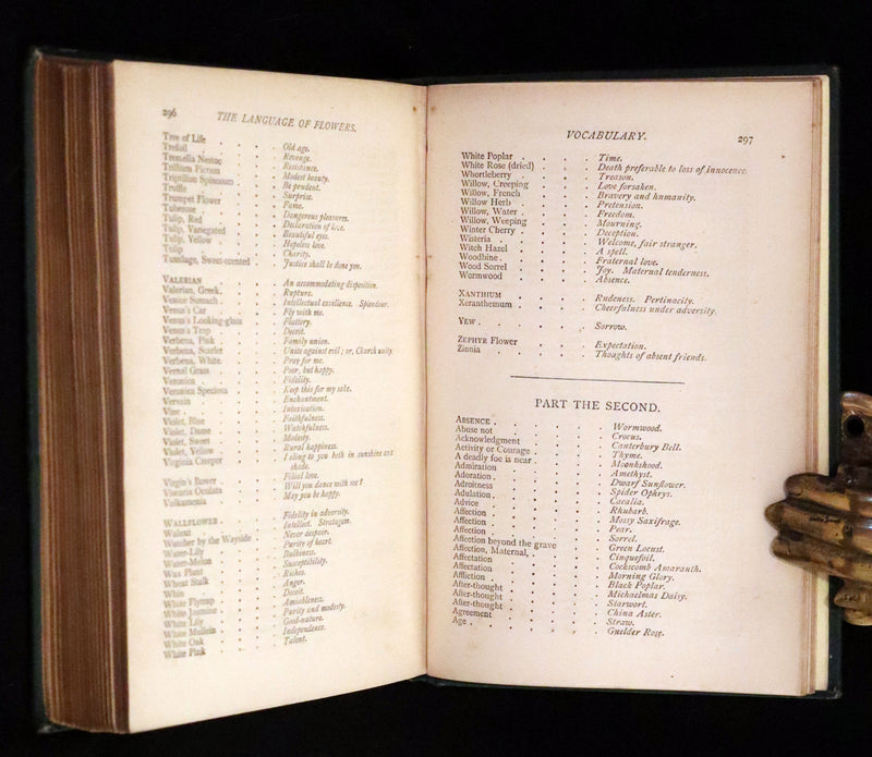 1880 Scarce Floriography Book ~ The Language of Flowers Including Floral Poetry Illustrated.