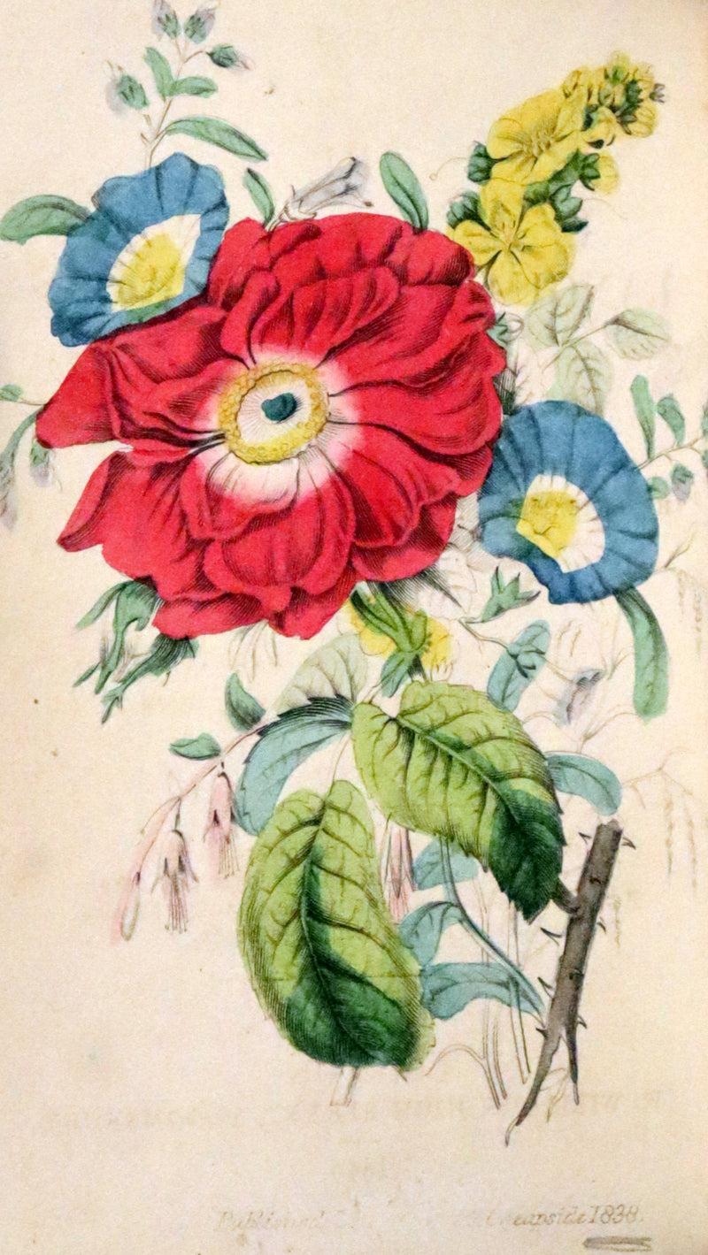 1846 Scarce small Floriography Book ~ The Language of Flowers. First Edition.