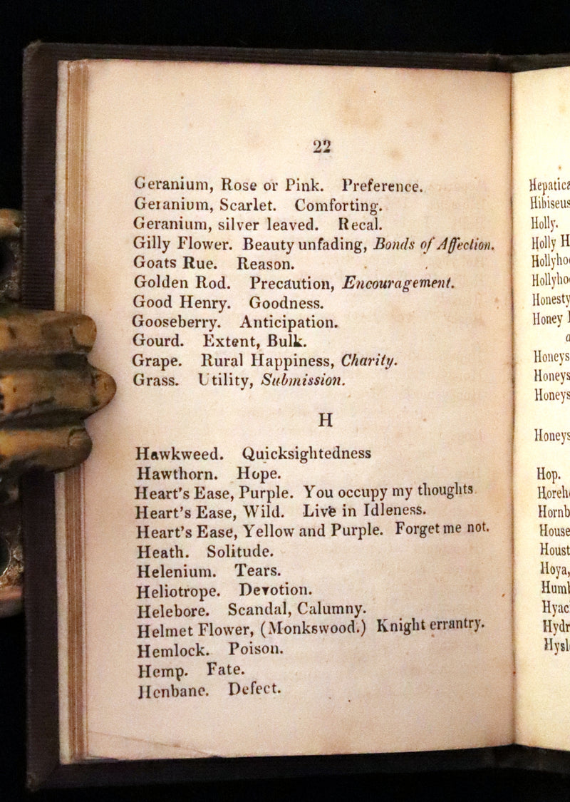 1846 Scarce small Floriography Book ~ The Language of Flowers. First Edition.